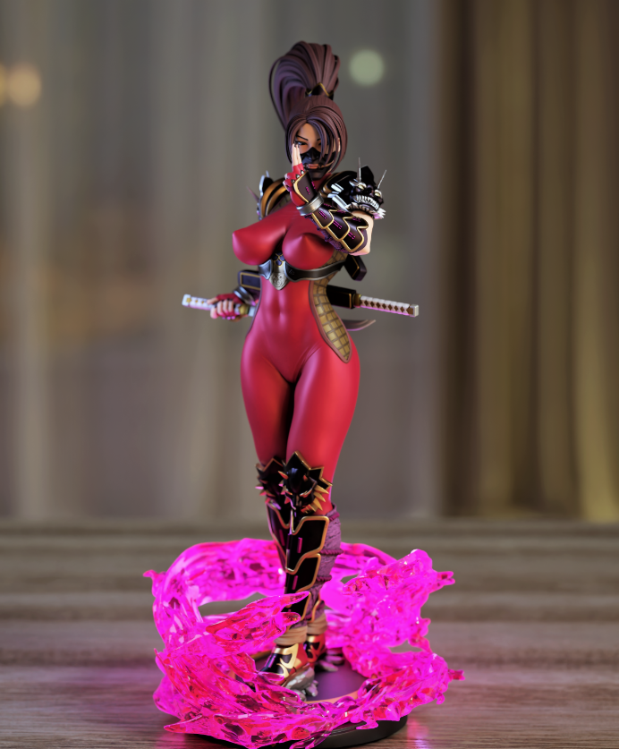 Ninja Lady