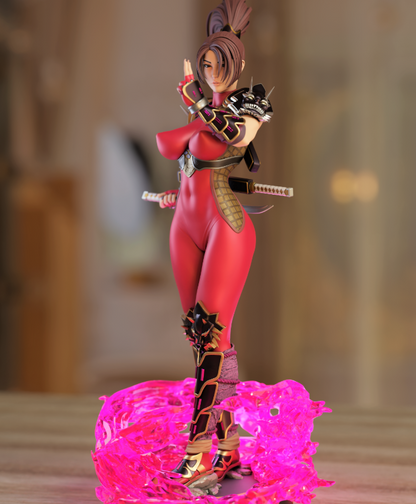 Ninja Lady